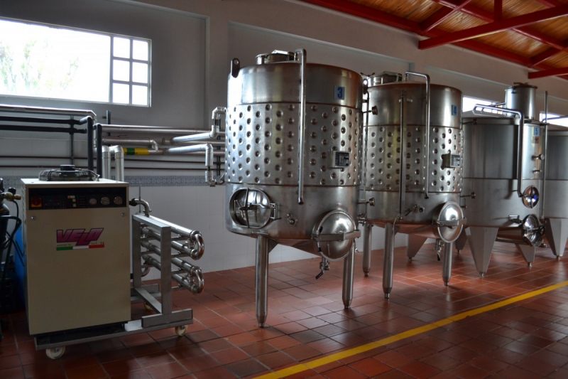 cave-PEONE-min_wine_production_cantine_winery_drink_alcohol_vine_beverage-902036